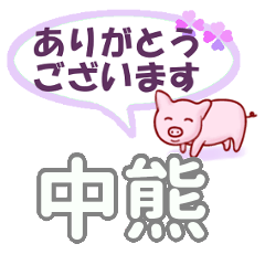 中熊「なかぐま」さん専用。日常会話