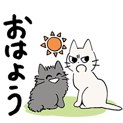 しかるねこ10（毎日使える編）