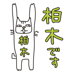 ばんざい猫 柏木用