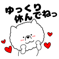 毎日使える ポメラニアンのぽめちゃん