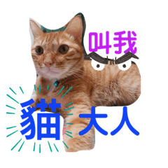 Meimei_20190812163426