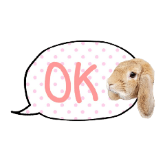 うちの子シリーズ『うさぎのミミちゃん』