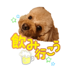 ベティサリーラム楽しもう