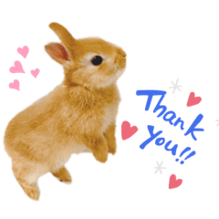 Noixの日常あいさつスタンプ♡