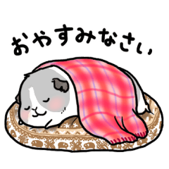 モルモットたちの冬