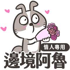 Border Collie ARU(Valentine's Day)