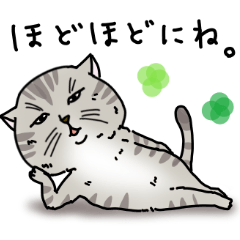 渋猫のいたわり、気遣いセット。