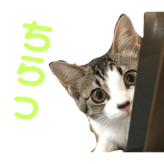 シャルちゃん　挨拶系