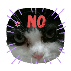 GOLDEN_20200408191058