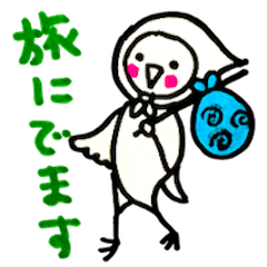 おかめインコ　NO.3