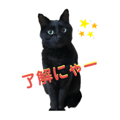 トト・ノアールスタンプパート1