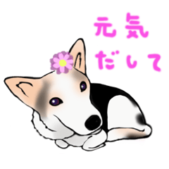 三毛犬スタンプ