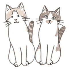 ふうがとかのん