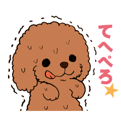 ぷるぷるトイプードル