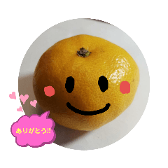 いろいろミカン