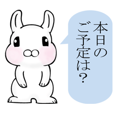 うさぎかわいい