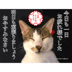 トムくんのはんこ4番