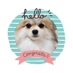 くるみといっしょ❤️3