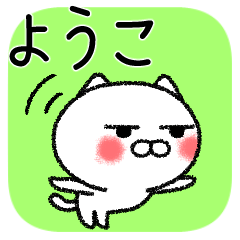 ようこちゃんねこ