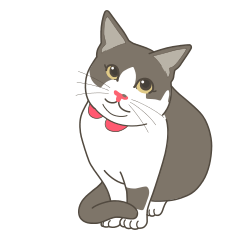 ふさかわニャンコのランちゃん