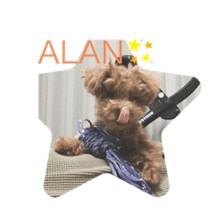 アランスタンプ集！2