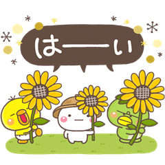 大人の親切で丁寧な言葉【夏】