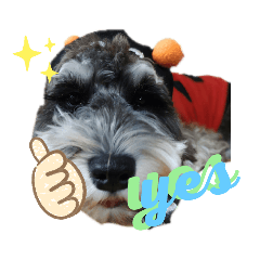 さらスタンプ　公開