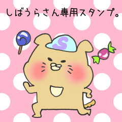 しばうらさん専用スタンプ