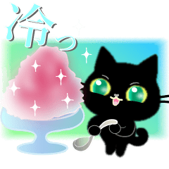 黒猫ちゃんしゃべりすぎ。６夏の日々。