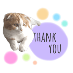 スコスコちぃくん