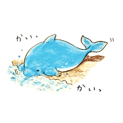 コツメカイカイイルカ