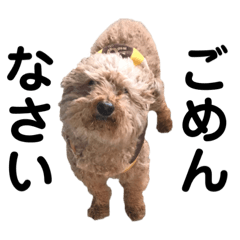 千葉なっつの使えるスタンプ