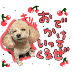 ローラちゃんとわさびちゃん