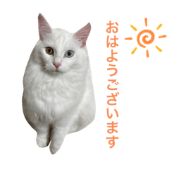 ももちゃんのスタンプたまにはなちゃん