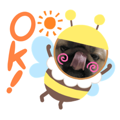 ペキニーズ こうめスタンプ☆
