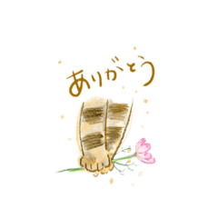 きまぐれ猫のほっこりスタンプ