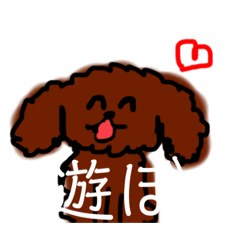 可愛いびぃちゃん