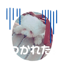 トイプージェムくん Ver.2