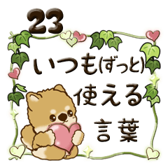 ちゃちゃ丸 23『ずっと使える言葉』