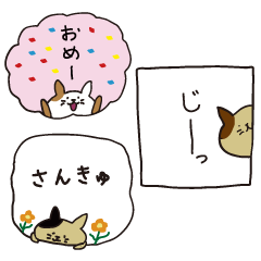 猫 いろいろ ゆるい 一言スタンプ