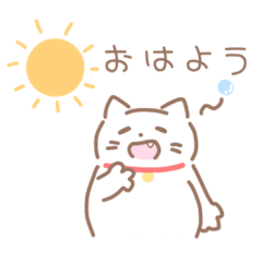 ふくよかねこさん！