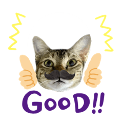 Rosemary_20221125065913