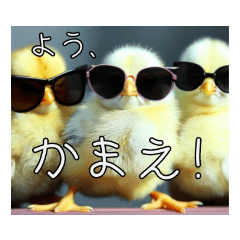 面白かわいいシンプルなデカ文字ヒヨコさん