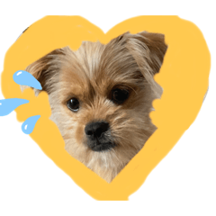 ペキペキスタンプ1