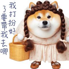 Round and fat Shiba Inu2