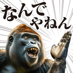 関西弁ゴリラ【関西出身】