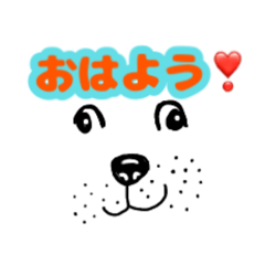 ワンコ可愛い表情あいさつ