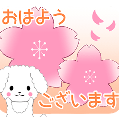 ちびプードル6【春①】