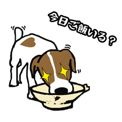 ハート柄のジャックラッセルテリア