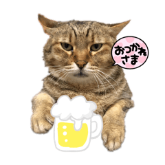 そばくん♡うどんくん